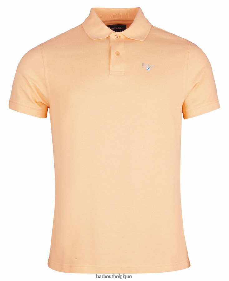 vêtements Barbour polo de sport menthe poussiéreuse Hommes T2L6ZP654
