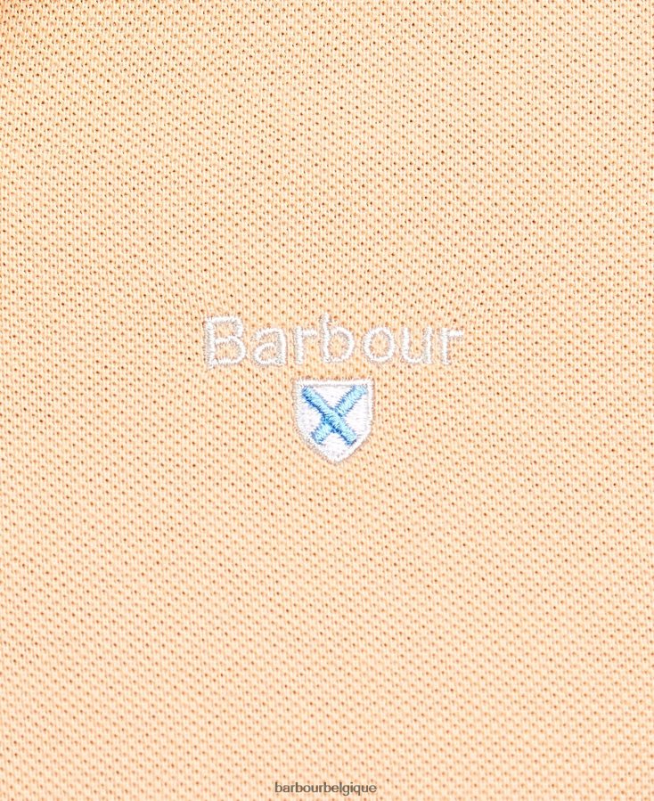 vêtements Barbour polo de sport menthe poussiéreuse Hommes T2L6ZP654